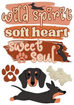 Bügelbild wild spirit soft heart wild soul